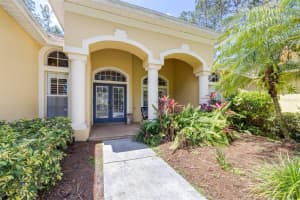 313 PINE BLUFF DRIVE, LUTZ, FL 33549 - MLS#MFRTB8504865