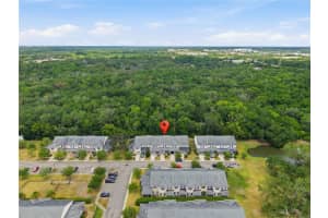 8208 Downpatrick Ct, TAMPA