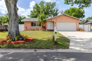 2276 Tamarron Ter, PALM HARBOR 2276 Tamarron Ter, PALM HARBOR