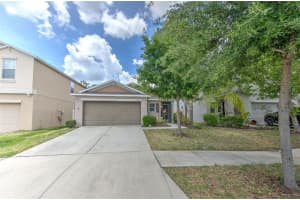 17334 WHITE MANGROVE DRIVE, WIMAUMA, FL 33598 - MLS#MFRTB8504905