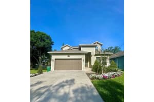 7215 S Shamrock Rd, TAMPA