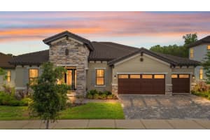 14544 Swiss Bridge Dr, LITHIA 14544 Swiss Bridge Dr, LITHIA
