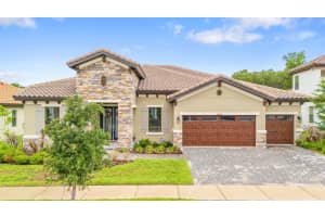 14544 SWISS BRIDGE DRIVE, LITHIA, FL 33547 - MLS#MFRTB8504930