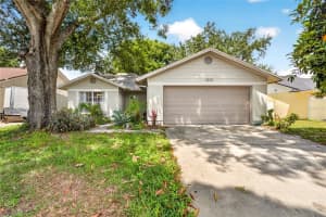 1533 Gunsmith Dr, LUTZ