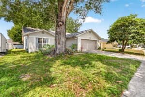 1533 GUNSMITH DRIVE, LUTZ, FL 33559 - MLS#MFRTB8504946