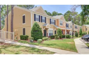 12306 BERKELEY SQUARE DRIVE, TAMPA, FL 33626 - MLS#MFRTB8504968