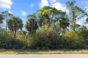 425 CHESHIRE STREET, PORT CHARLOTTE, FL 33953 - MLS#MFRTB8504974