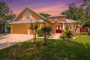 10209 Shadow Branch Dr, TAMPA
