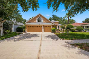 10209 SHADOW BRANCH DRIVE, TAMPA, FL 33647 - MLS#MFRTB8504975