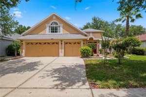 10209 SHADOW BRANCH DRIVE, TAMPA, FL 33647 - MLS#MFRTB8504975