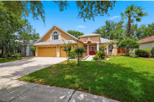 10209 SHADOW BRANCH DRIVE, TAMPA, FL 33647 - MLS#MFRTB8504975