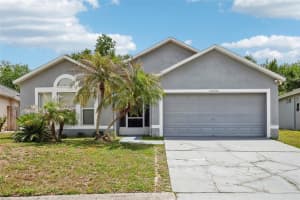 25002 HYDE PARK BOULEVARD, LAND O LAKES, FL 34639 - MLS#MFRTB8505013