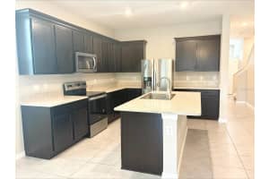 2908 EVERGREEN ELM PASS, WESLEY CHAPEL, FL 33543 - MLS#MFRTB8505022