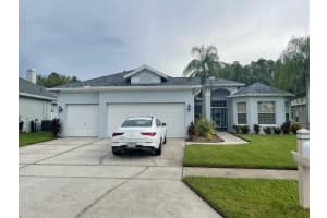 28609 FALLING LEAVES, WESLEY CHAPEL, FL 33543 - MLS#MFRTB8505027