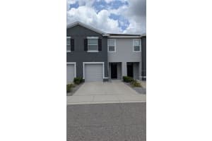 6934 Breezy Palm Dr, RIVERVIEW