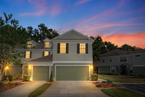 2423 EARLSWOOD COURT, BRANDON, FL 33510 - MLS#MFRTB8505029