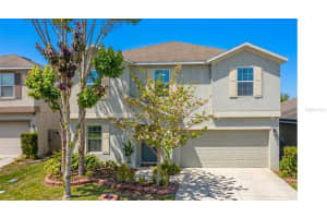 3908 KEARSNEY ABBEY CIRCLE, DOVER, FL 33527 - MLS#MFRTB8505032