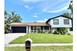 16513 Silverhill Dr, TAMPA