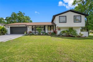16513 SILVERHILL DRIVE, TAMPA, FL 33624 - MLS#MFRTB8505033