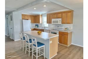 6806 MOUNT QUINCY DRIVE, ST PETERSBURG, FL 33702 - MLS#MFRTB8505045