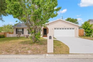 2218 Tanglewood Way, BRANDON