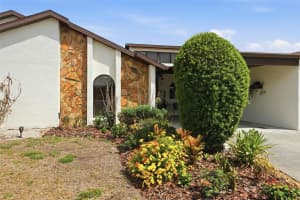 9143 LINGROVE ROAD, WEEKI WACHEE, FL 34613 - MLS#MFRTB8505085