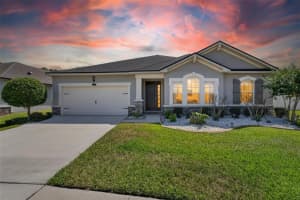 13017 SATIN LILY DRIVE, RIVERVIEW, FL 33579 - MLS#MFRTB8505086