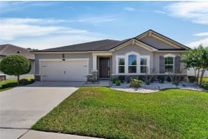 13017 SATIN LILY DRIVE, RIVERVIEW, FL 33579 - MLS#MFRTB8505086