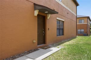 1033 BLACKWATER DRIVE, WESLEY CHAPEL, FL 33543 - MLS#MFRTB8505096