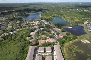 10144 Arbor Run Dr #31, TAMPA