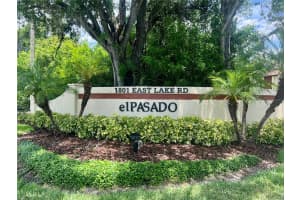 1801 LAKE ROAD, PALM HARBOR, FL 34685 - MLS#MFRTB8505105