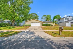 4448 Ranchwood Ln, TAMPA