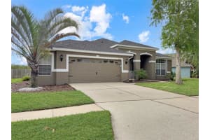 6817 Cromwell Garden Dr, APOLLO BEACH