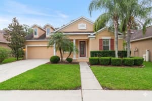 6936 Rocky Canyon Way, TAMPA