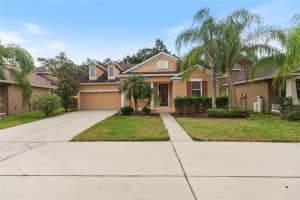 6936 ROCKY CANYON WAY, TAMPA, FL 33625 - MLS#MFRTB8505138
