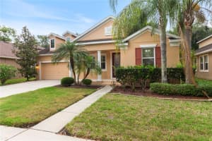 6936 ROCKY CANYON WAY, TAMPA, FL 33625 - MLS#MFRTB8505138