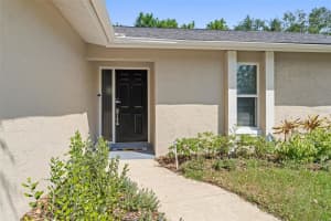 3298 ORCHARD DRIVE, PALM HARBOR, FL 34684 - MLS#MFRTB8505143
