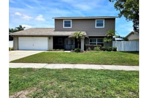 4029 Bell Grande Dr, VALRICO