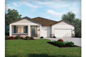 10522 Abundance Grove Way, PARRISH