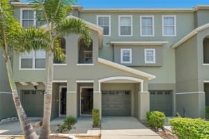 4817 Tuscan Loon Dr, TAMPA