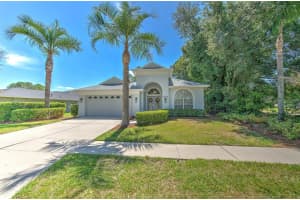 3412 STONEBRIDGE TRAIL, VALRICO, FL 33596 - MLS#MFRTB8505218
