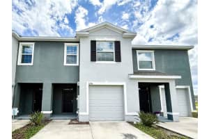 32794 Pez Landing Lane, WESLEY CHAPEL