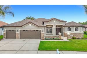 1439 Beaconsfield Dr, WESLEY CHAPEL