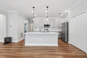 31068 JAZZ LEAF PLACE, SAN ANTONIO, FL 33576 - MLS#MFRTB8505283