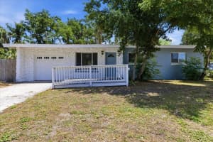 1317 LADY MARION LANE, DUNEDIN, FL 34698 - MLS#MFRTB8505301