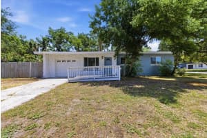 1317 LADY MARION LANE, DUNEDIN, FL 34698 - MLS#MFRTB8505301