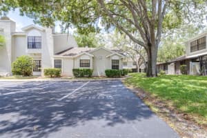 5100 BURCHETTE ROAD, TAMPA, FL 33647 - MLS#MFRTB8505325