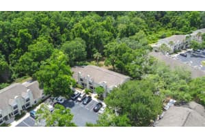 5100 BURCHETTE ROAD, TAMPA, FL 33647 - MLS#MFRTB8505325