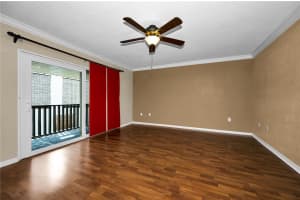 743 HAVEN PLACE, TARPON SPRINGS, FL 34689 - MLS#MFRTB8505349