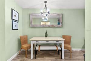 11201 80TH AVENUE, SEMINOLE, FL 33772 - MLS#MFRTB8505352